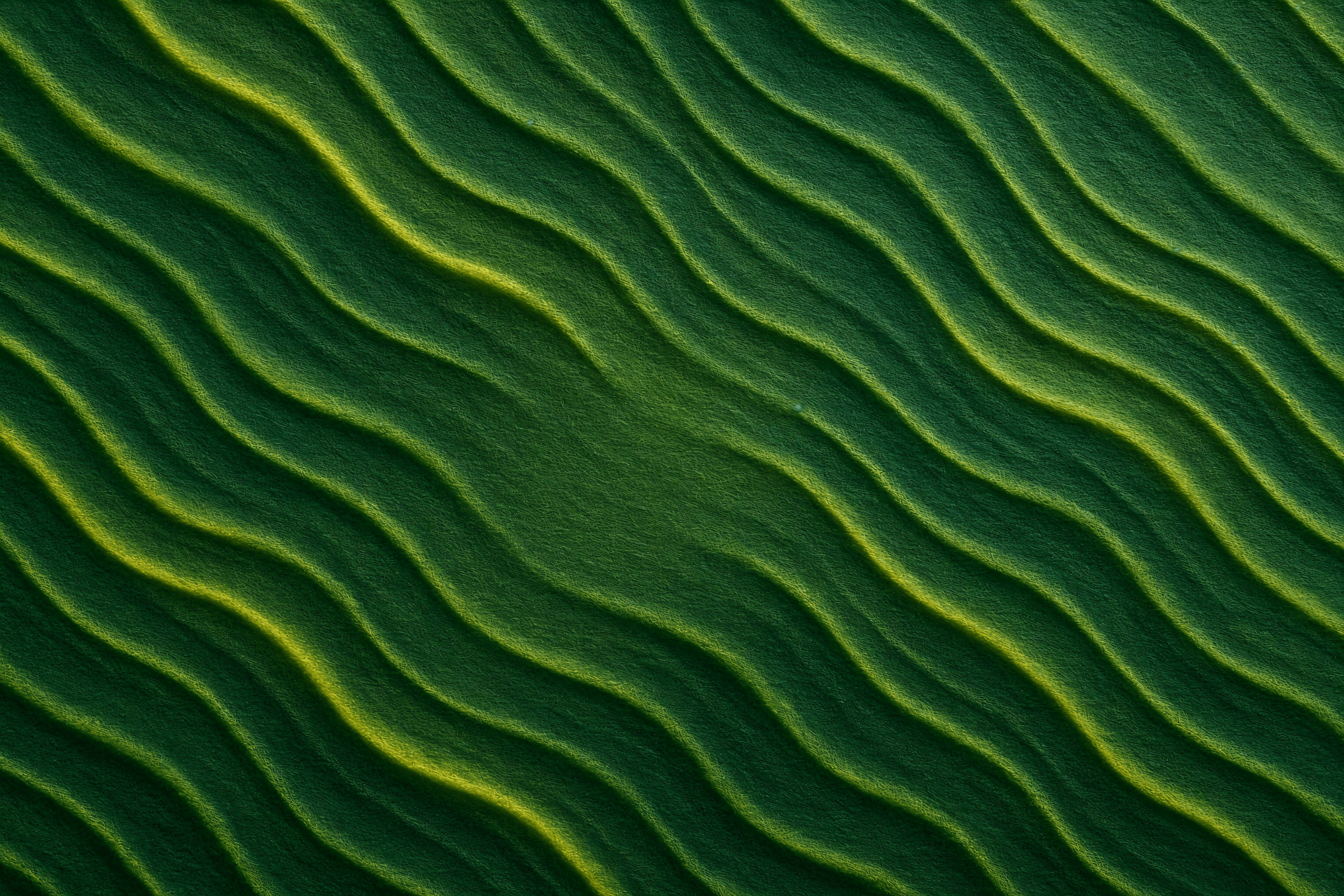 Ambiente profesional de consulta nutricional mostrando un espacio acogedor y moderno