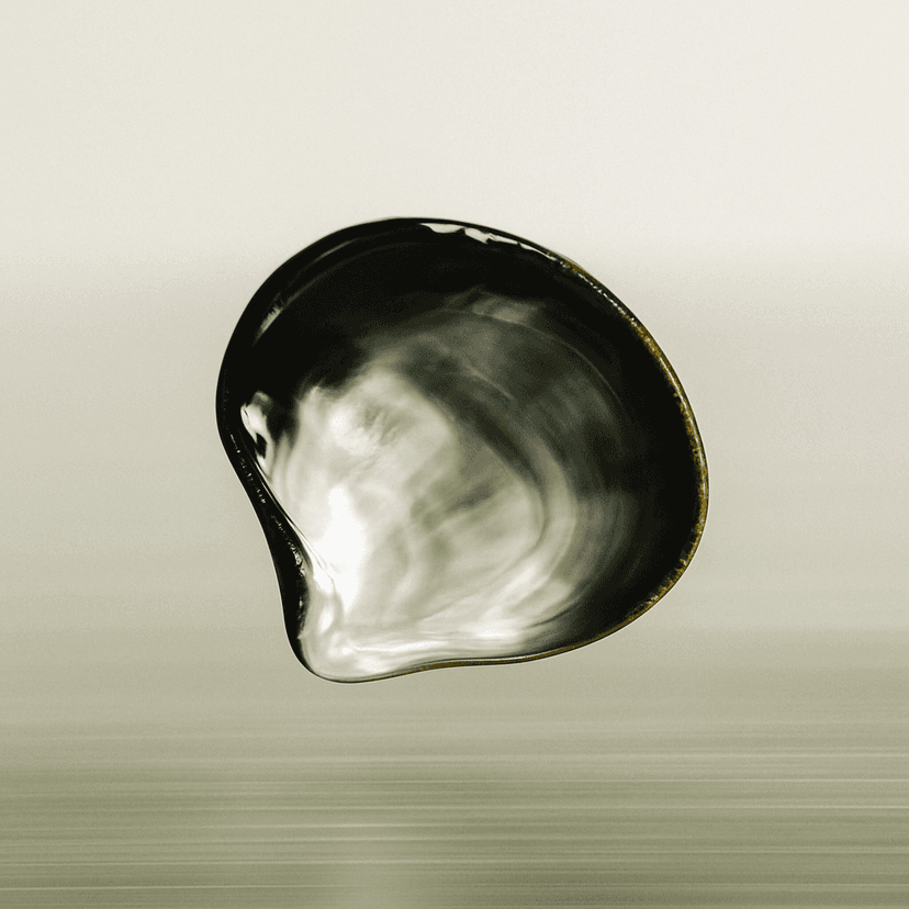 Semilla de Ónix - simbolizando nuevos comienzos y crecimiento