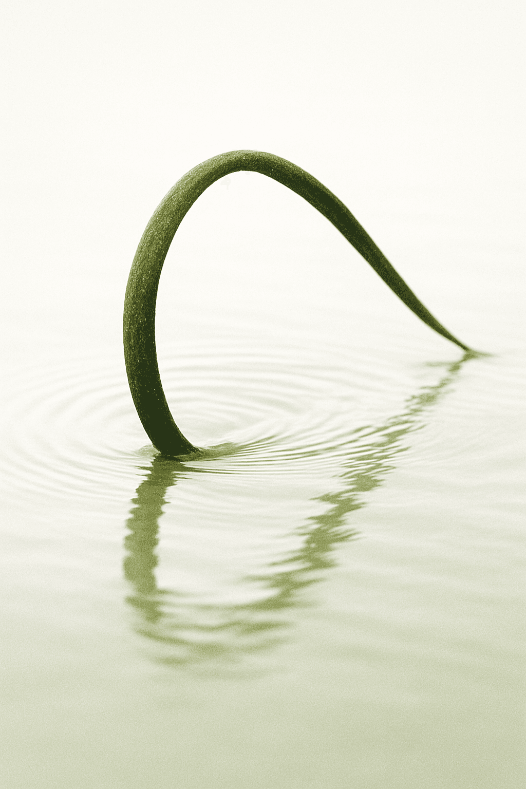 Visual representation of flexibilidad inteligente